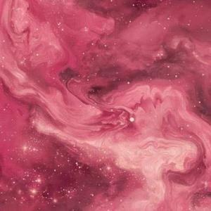 Niharika Buswala logo