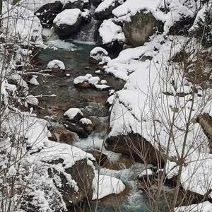 Travel with D.K logo