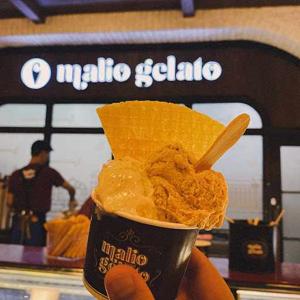 Nayyara Khasafna logo