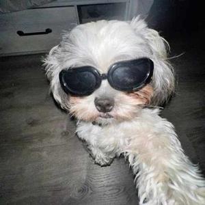 Eshita Karthika Jyothish logo