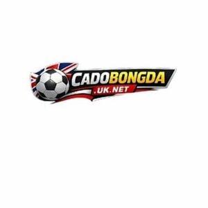 Cá Độ Bóng Đá logo