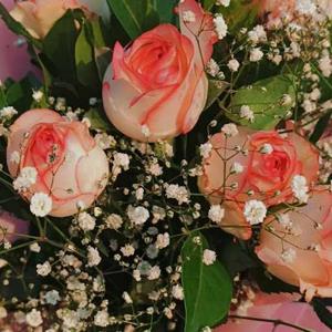 Rajashree Barik logo