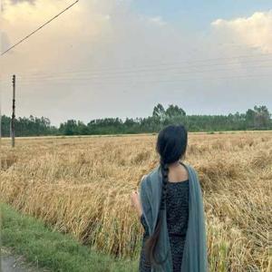 Chandrikawrites  logo