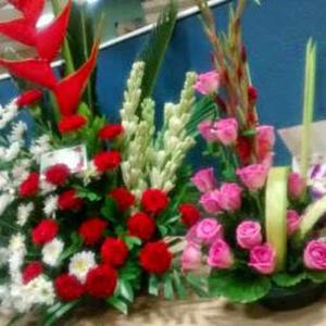 Shweta Subramanyam logo