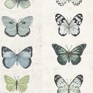 Angela Rodriguez logo