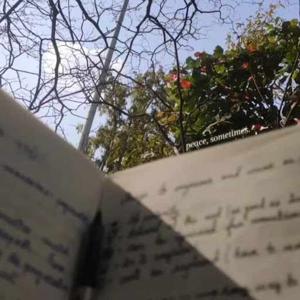 Chanchal Tiwari logo