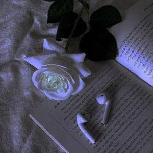 Rosalia Tenebrae logo