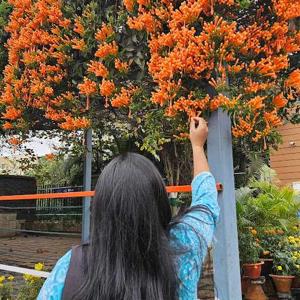 sushree sampurna logo