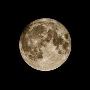 Scarlett Hernandez logo