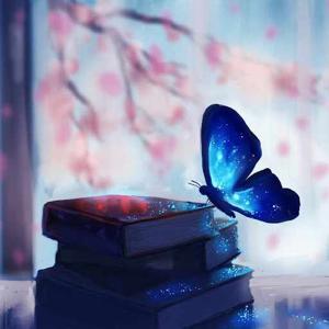 Noufiya Fathima s.n logo