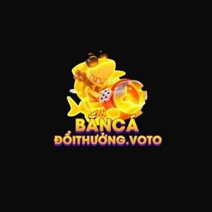 Bancadoithuong voto