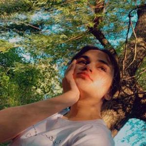 Setareh. Picasso logo