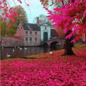 Garima Srivastava logo