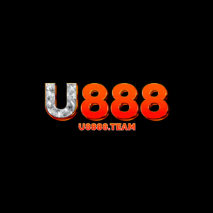 U8888 team