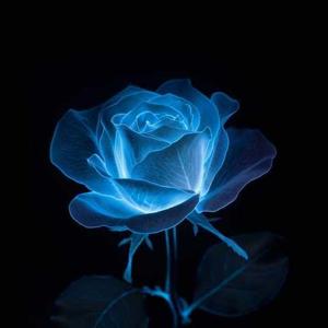 Komaljit Randhawa logo