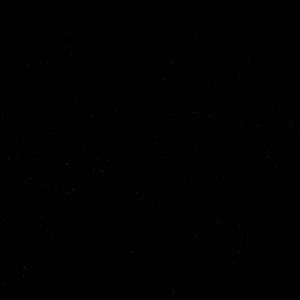 Nidhi logo