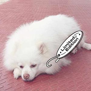 Jenitha Mendonca logo