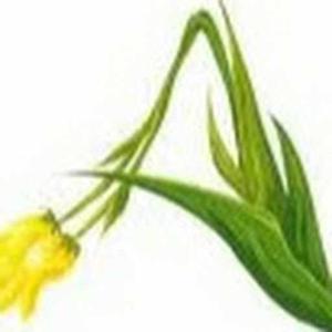 aswini andukulapati logo