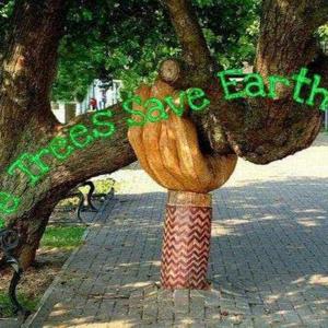 Shubha Srivastava logo