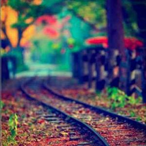 velavalapalli srividya logo