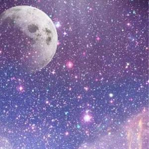 pallak satapathy logo