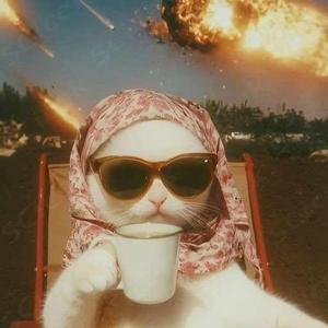 TYDS-015 Sakshi Mishra logo