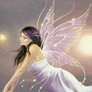 Christie Stiefel logo