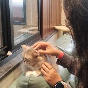 Samriddhi Prasad logo