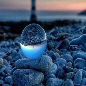 Shinjinee Dutta logo