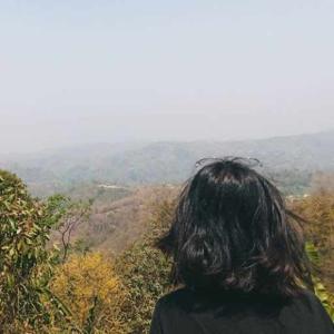 Nikita Kumari sinha logo