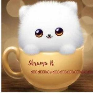 Shravya R logo