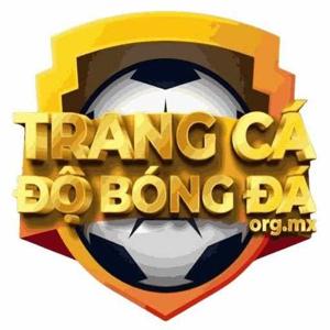 Trang cá độ bóng đá
