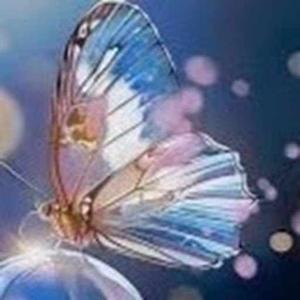 Rishita Lingala logo