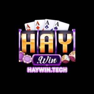 Haywin tech