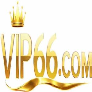 VIP66