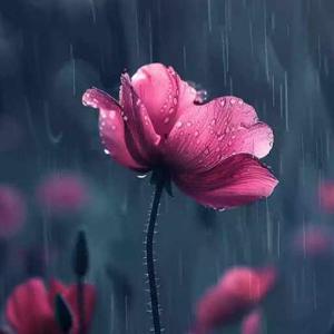 Shristy Sipu ,11E, 30 logo