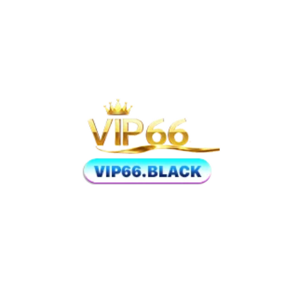 VIP66 logo