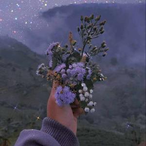 Umadevi Singamsetty logo