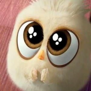 LAKSHMI SRAVYA K logo