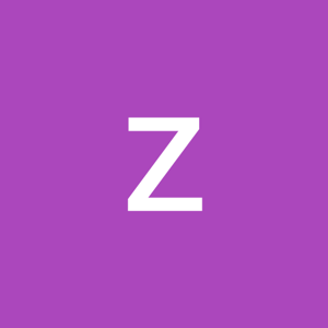 zainab butt logo