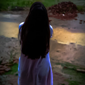 Prashasti Verma logo