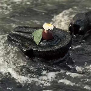 Aishwarya Kumari logo