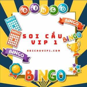 Soi Cầu Vip 1