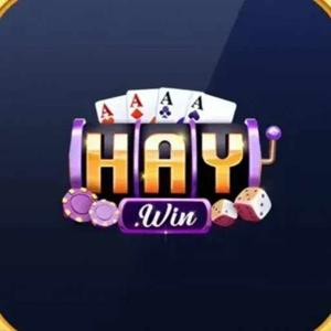 2Haywin io logo