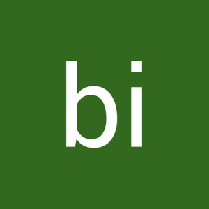 bi bi logo
