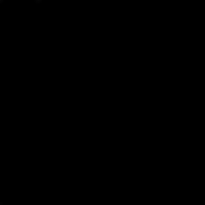 Soumya Verma logo