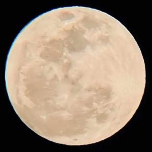 Chowdhury Leyana logo