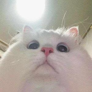 Sahana Swaminathan logo