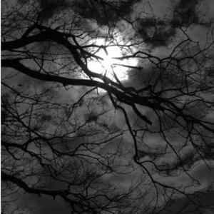 Shreya Bhardwaj logo