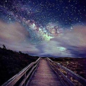 darshene managaran logo